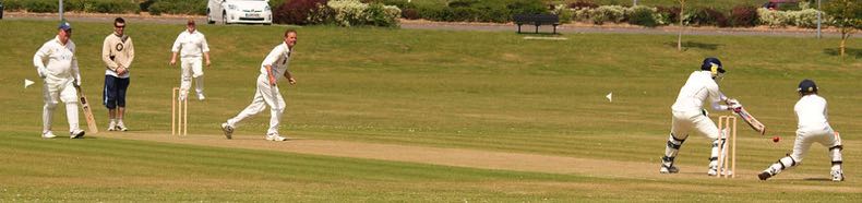 Grasping Batting Strike Rate vs. Consistency in T20s