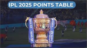 How the IPL 2025 Suspension Changed the Playoff Race
